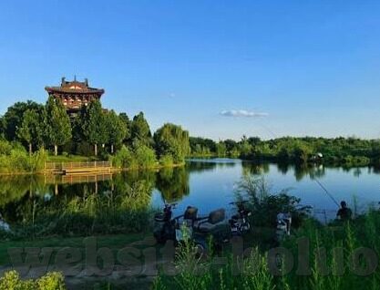 91制片厂传媒和麻豆-91制片厂传媒与麻豆，行业内幕与文化思考的交织