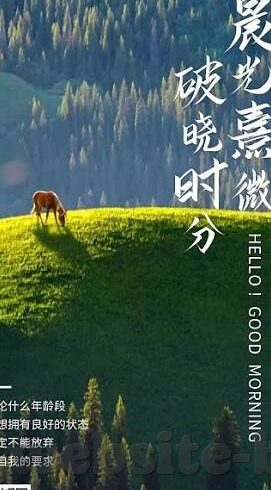 糖心vlog最新下载网址-解密糖心Vlog新探秘，畅游优质生活分享平台