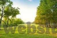亚洲麻豆av在线-亚洲文化多样性的独特展现，网络平台的创意与挑战